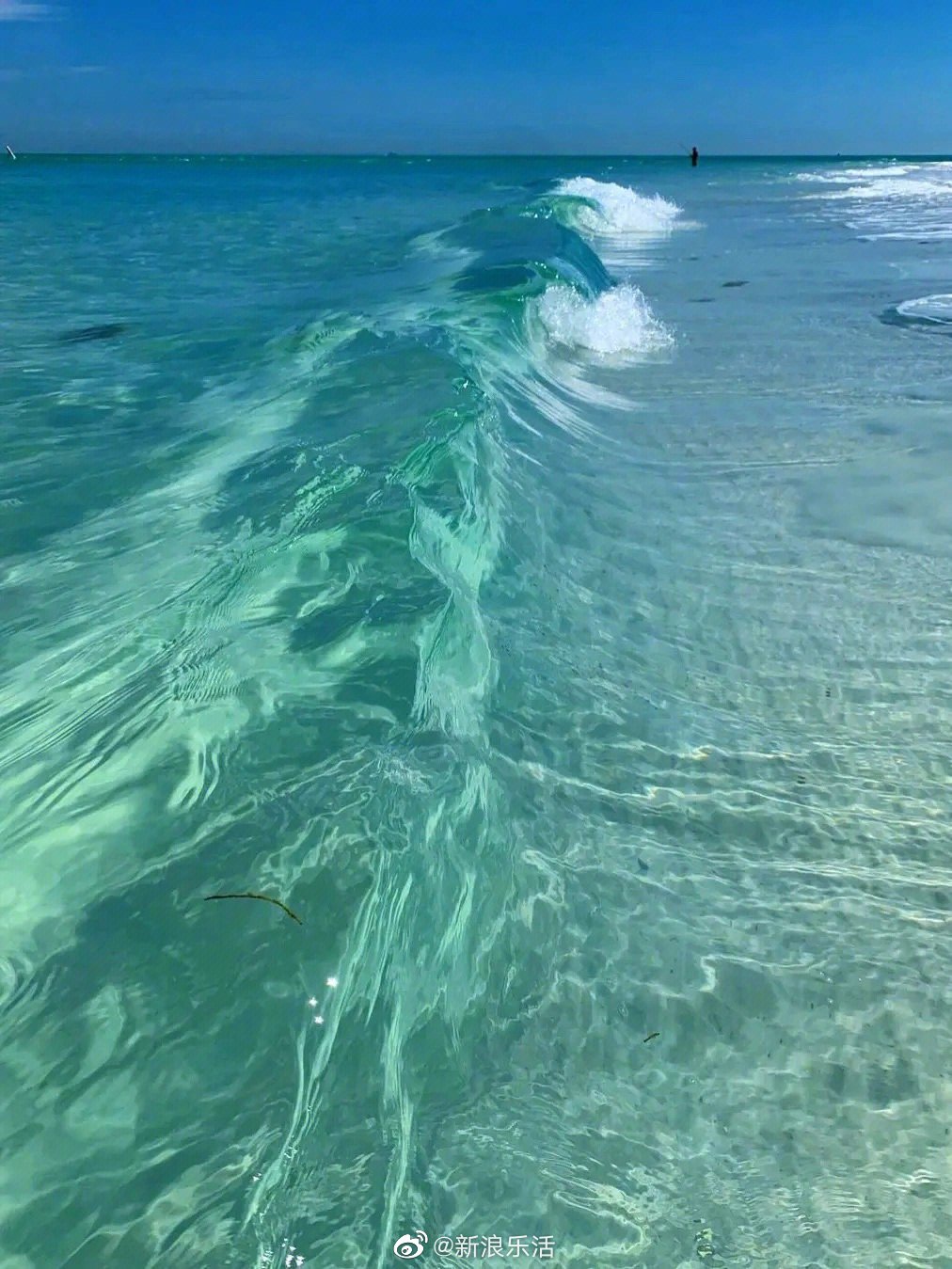 海第主机