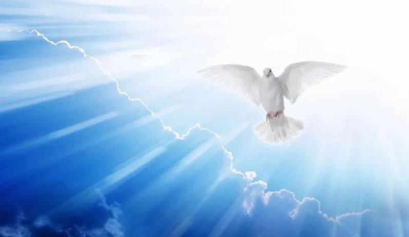 圣灵主机怎么样