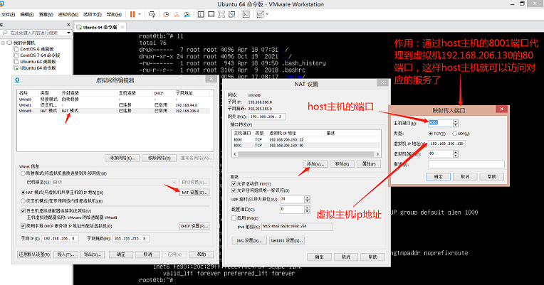 虚拟机访问物理主机