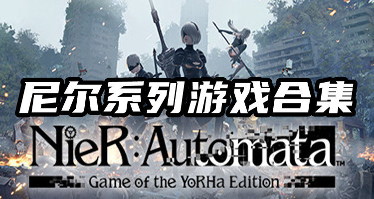 可以玩尼尔的主机