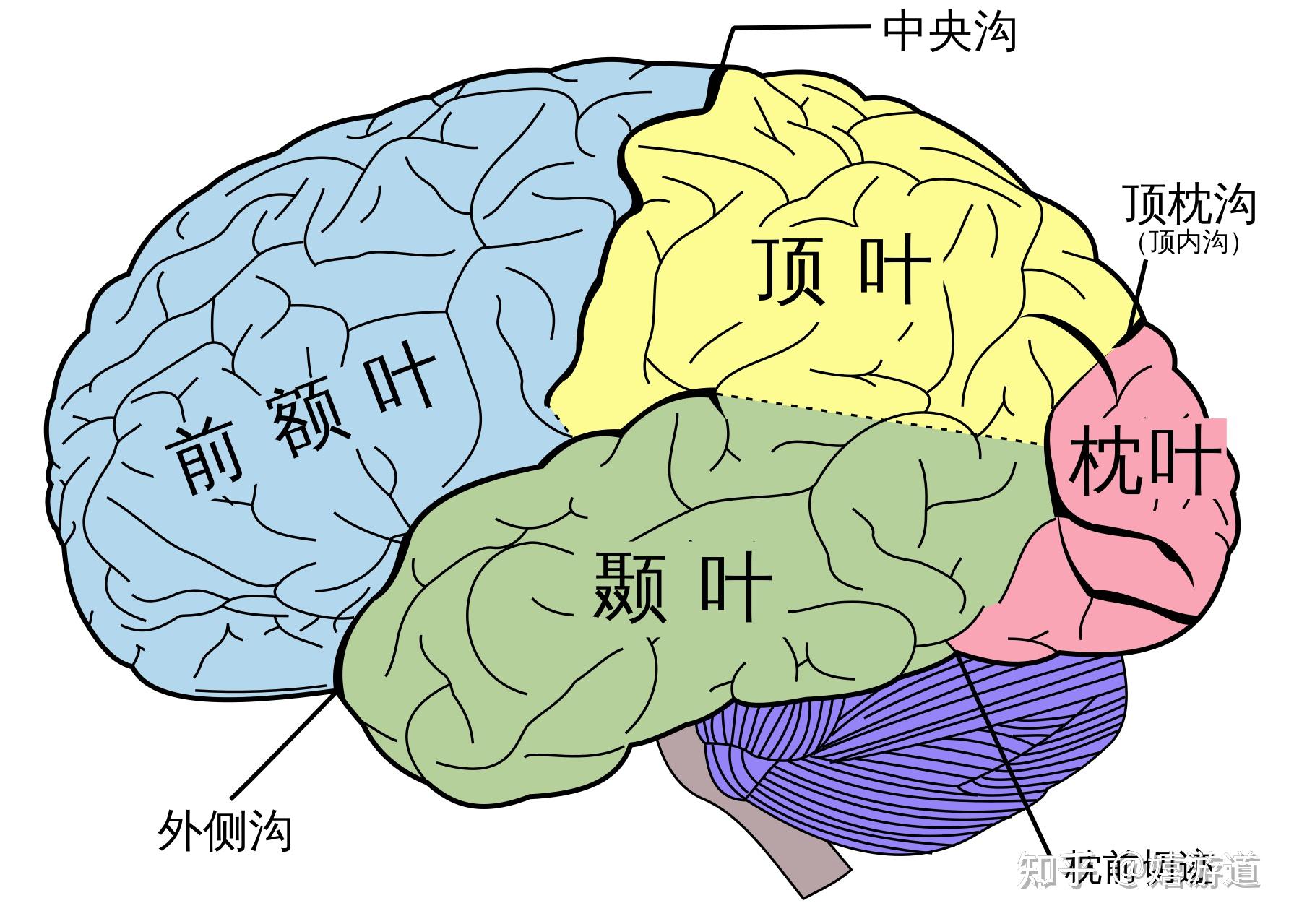 脑主机背面的网卡接口