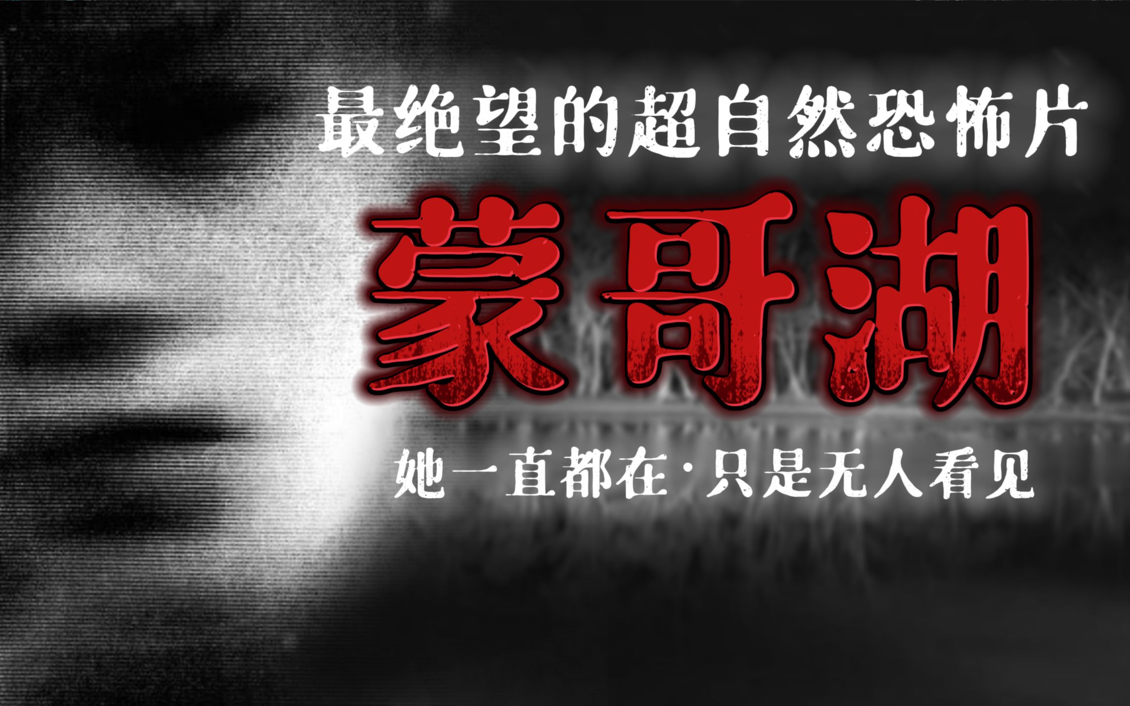 恐怖黎明正版主机