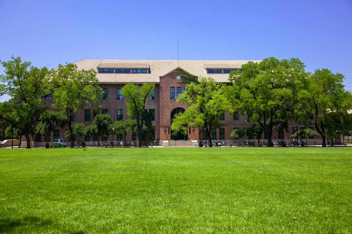 大学主机党