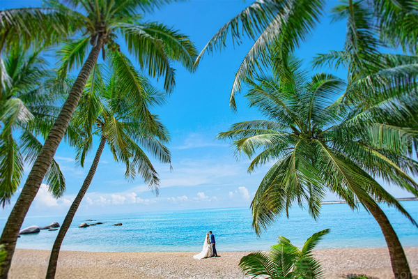 三亚高压喷雾主机