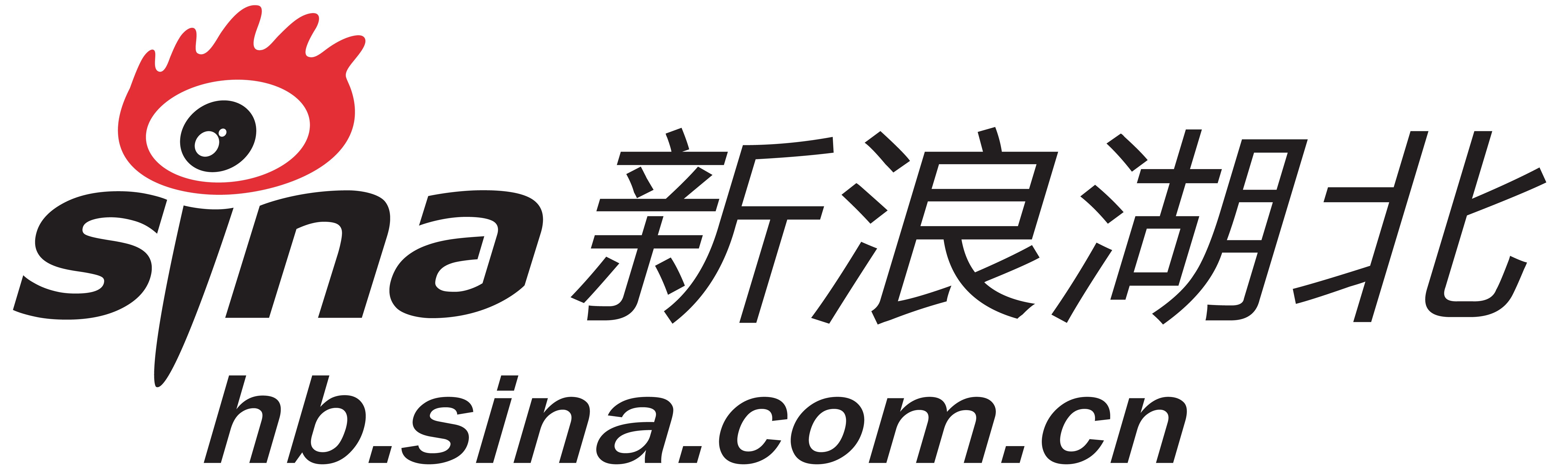 新浪邮箱正在解析主机