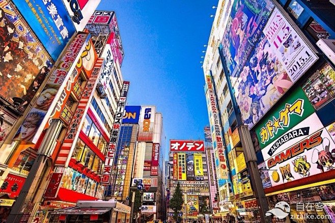 秋叶原主机店