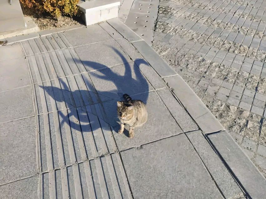 玩主机游戏卡死