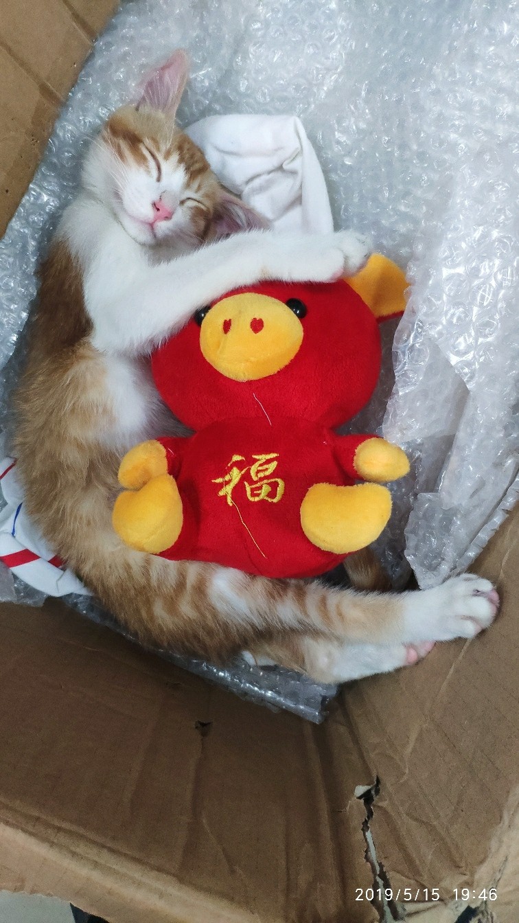 避免电脑主机被舍友撞