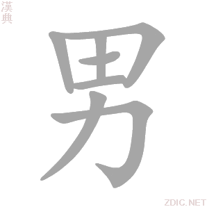 男主机长女主是乘务长