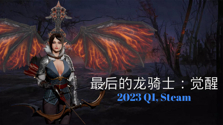 骑龙的主机游戏
