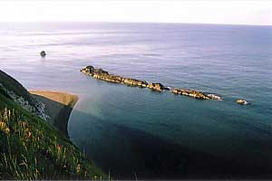 海湾主机如何编联动公式