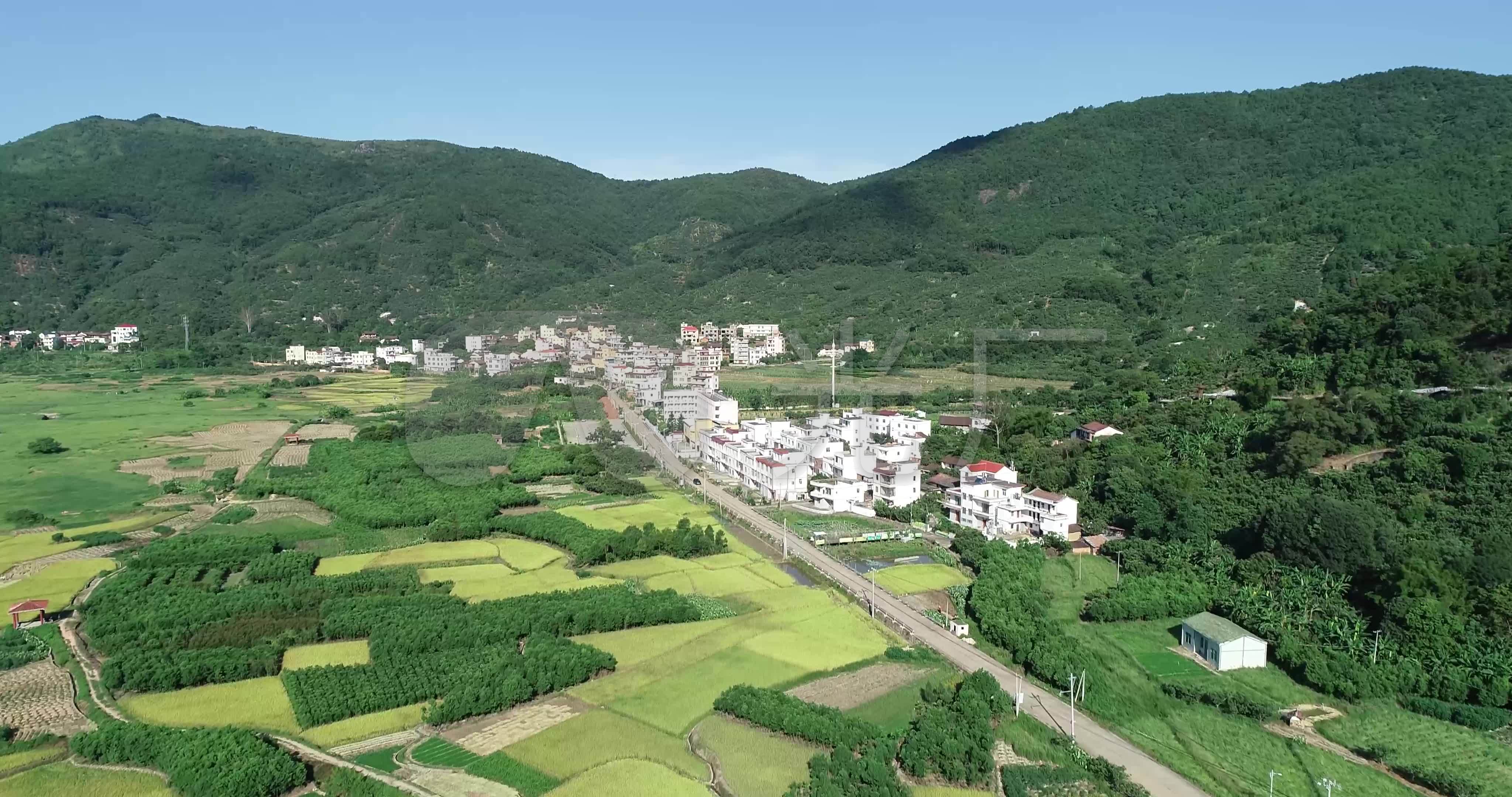 农村信用社网上转账主机处理中