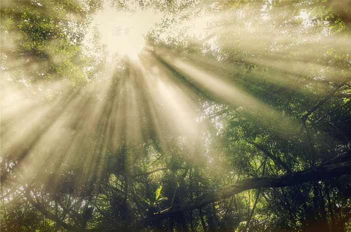 光污染主机组装