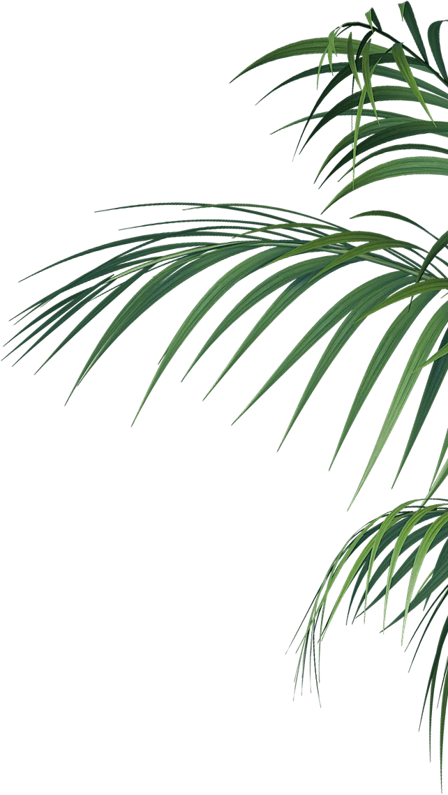 小米壁画电视主机按键