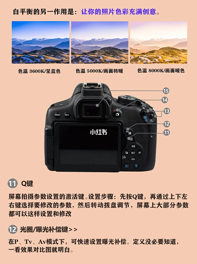 单反相机主机性能差别