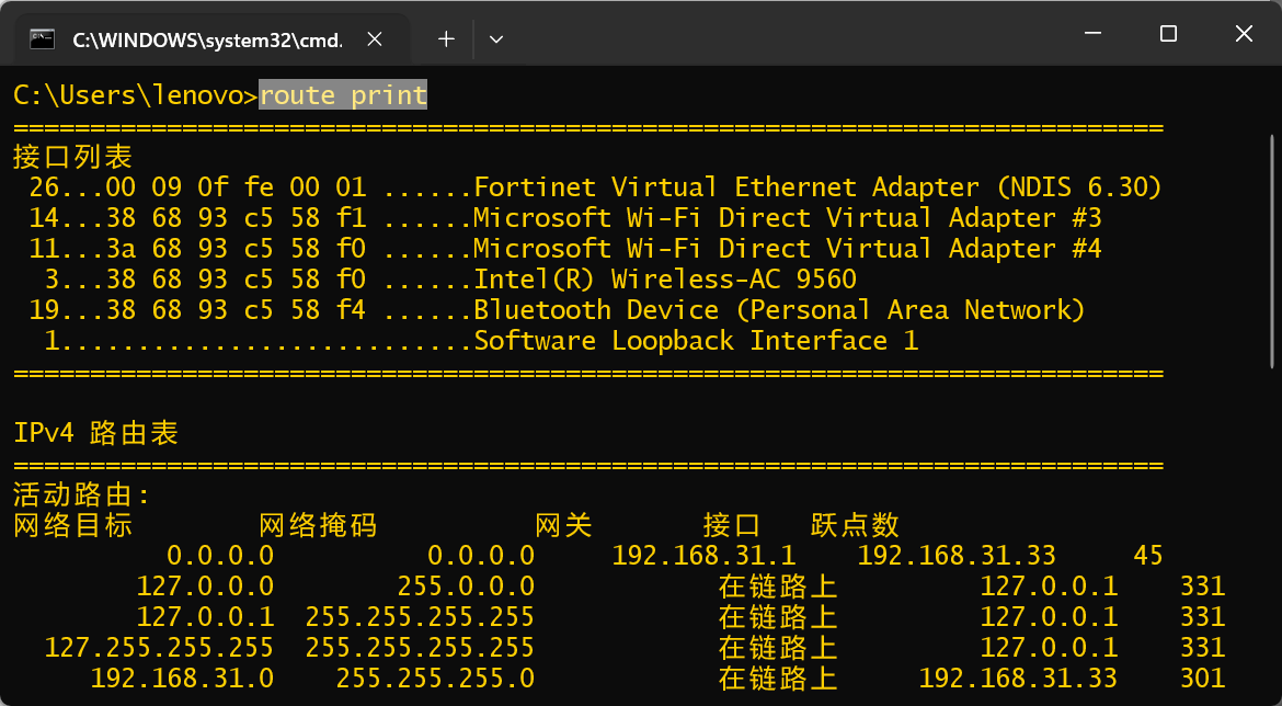 什么命令查看主机路由表