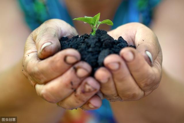 生存之路怎么建立主机