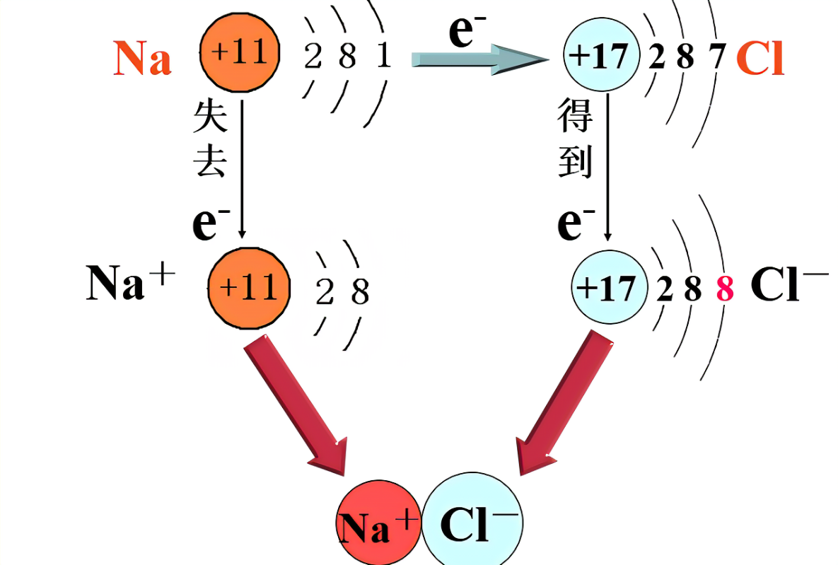 离子主机模块