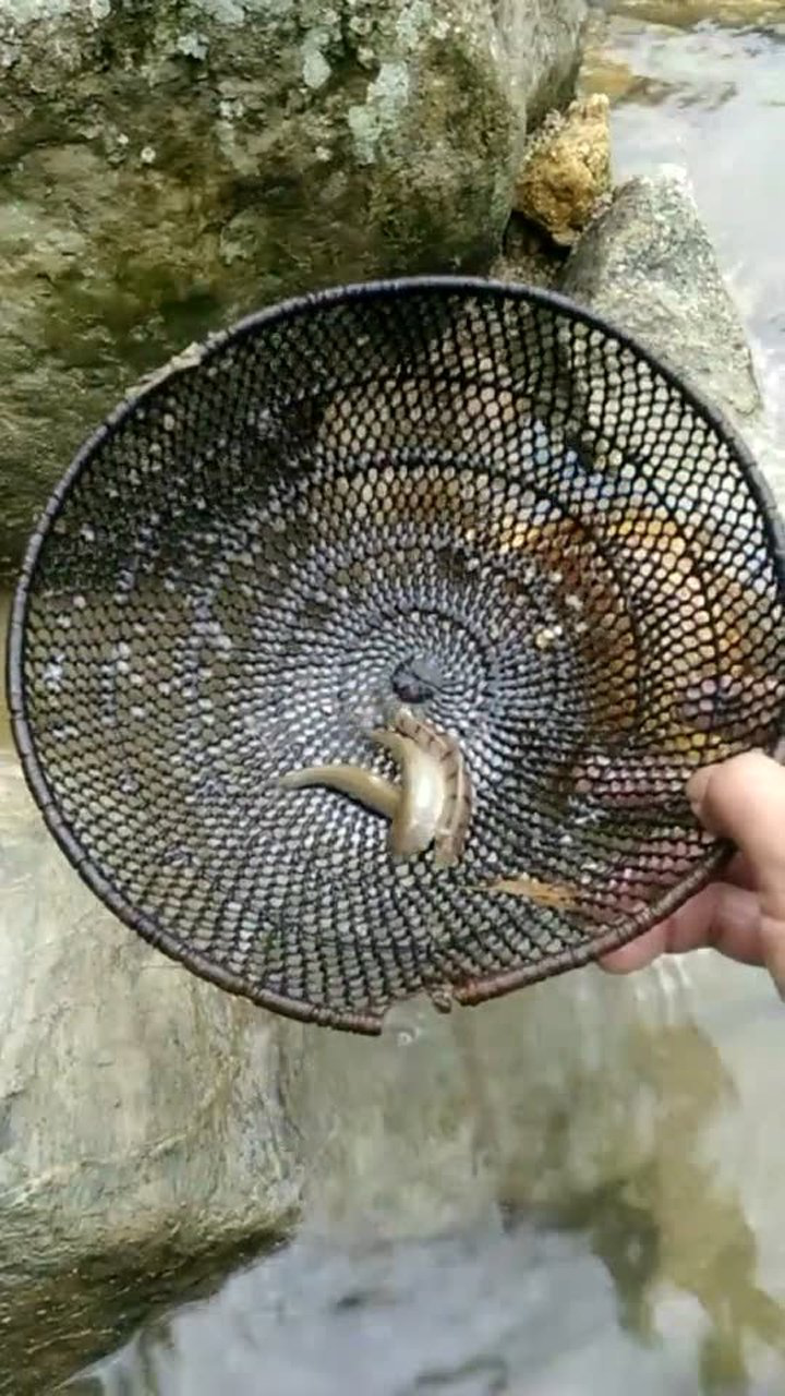 捕鱼机主机打码器怎么配