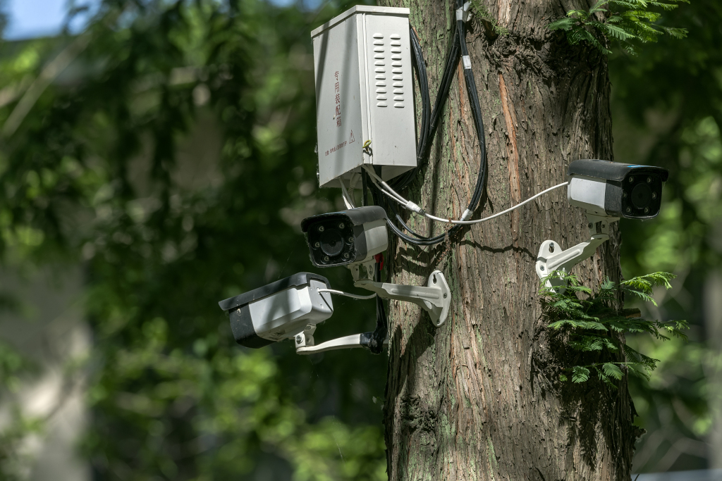 摄像头有限的主机