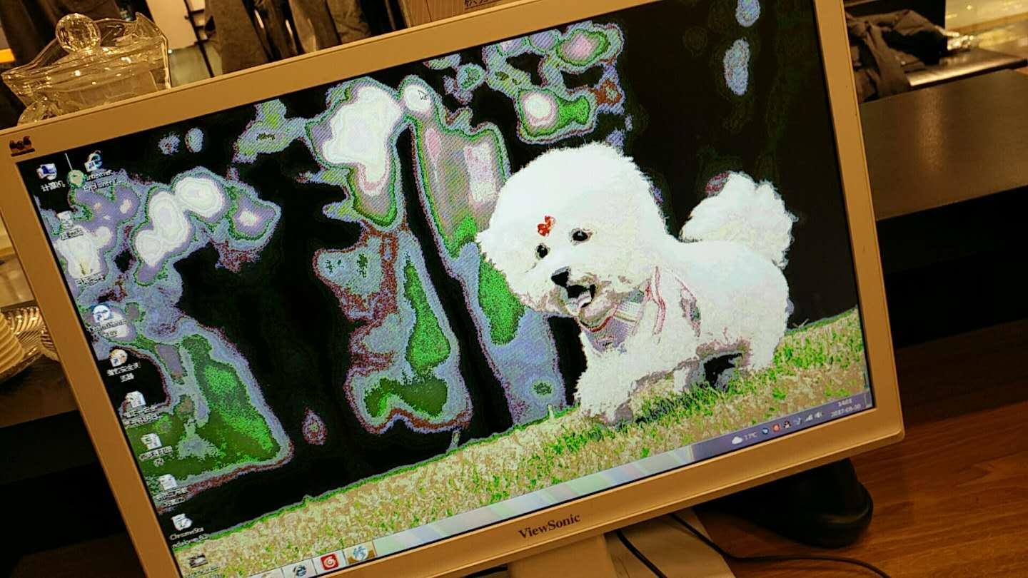 主机关机后显示器花屏
