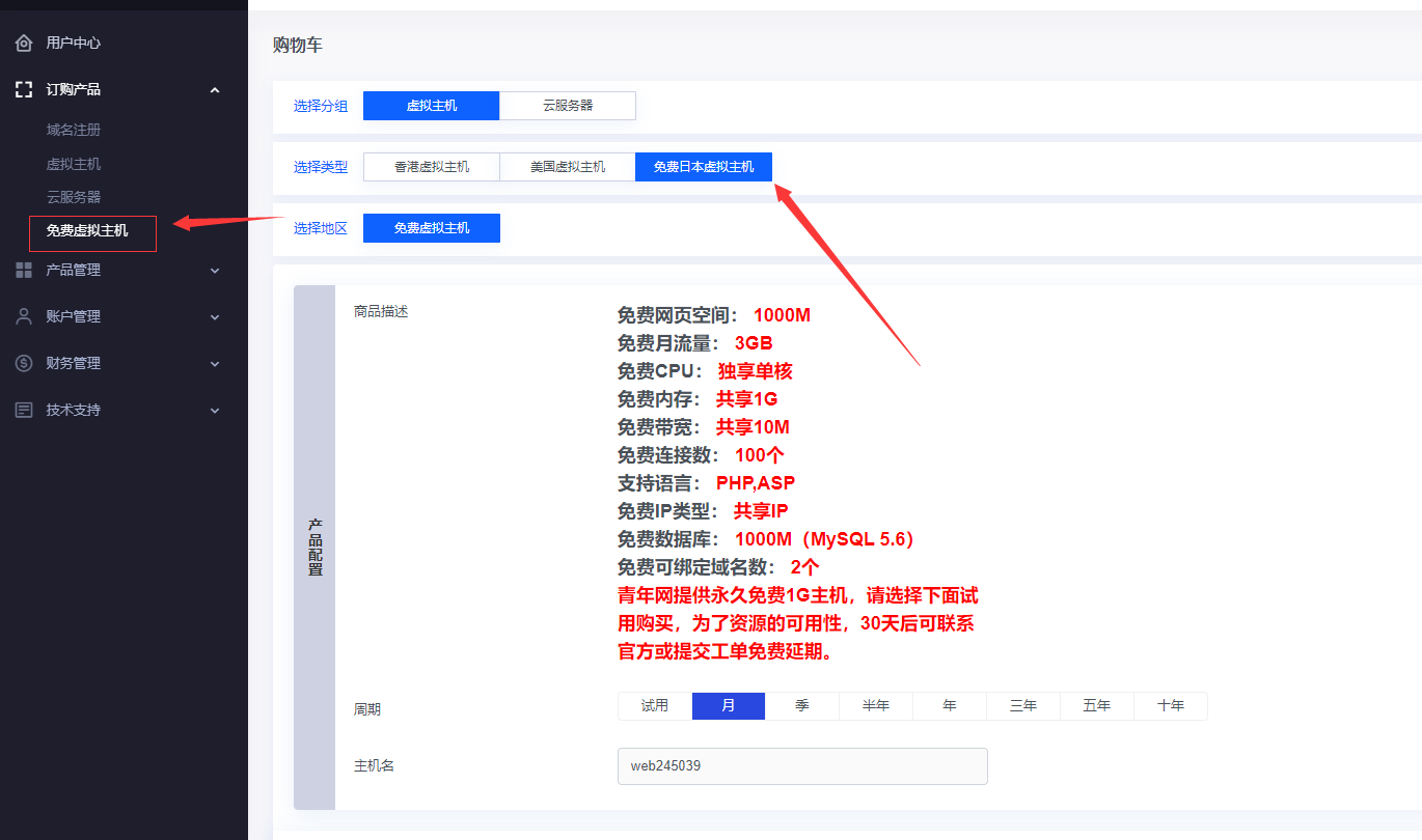 终身永久主机
