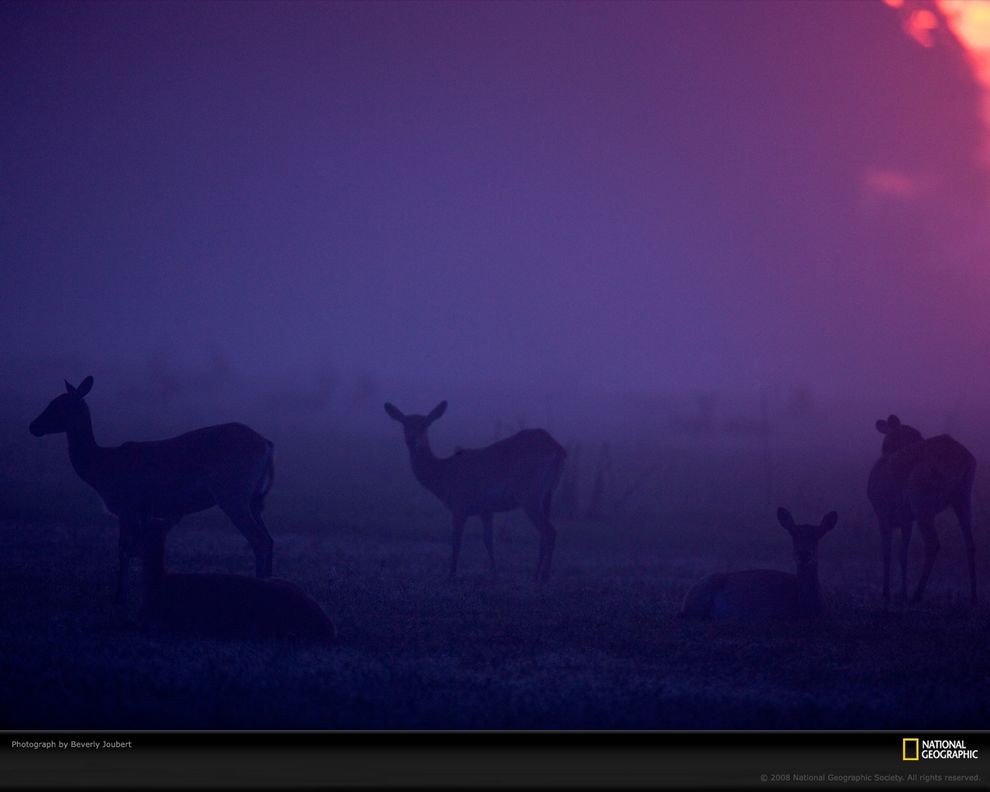 可视主机的摄像头