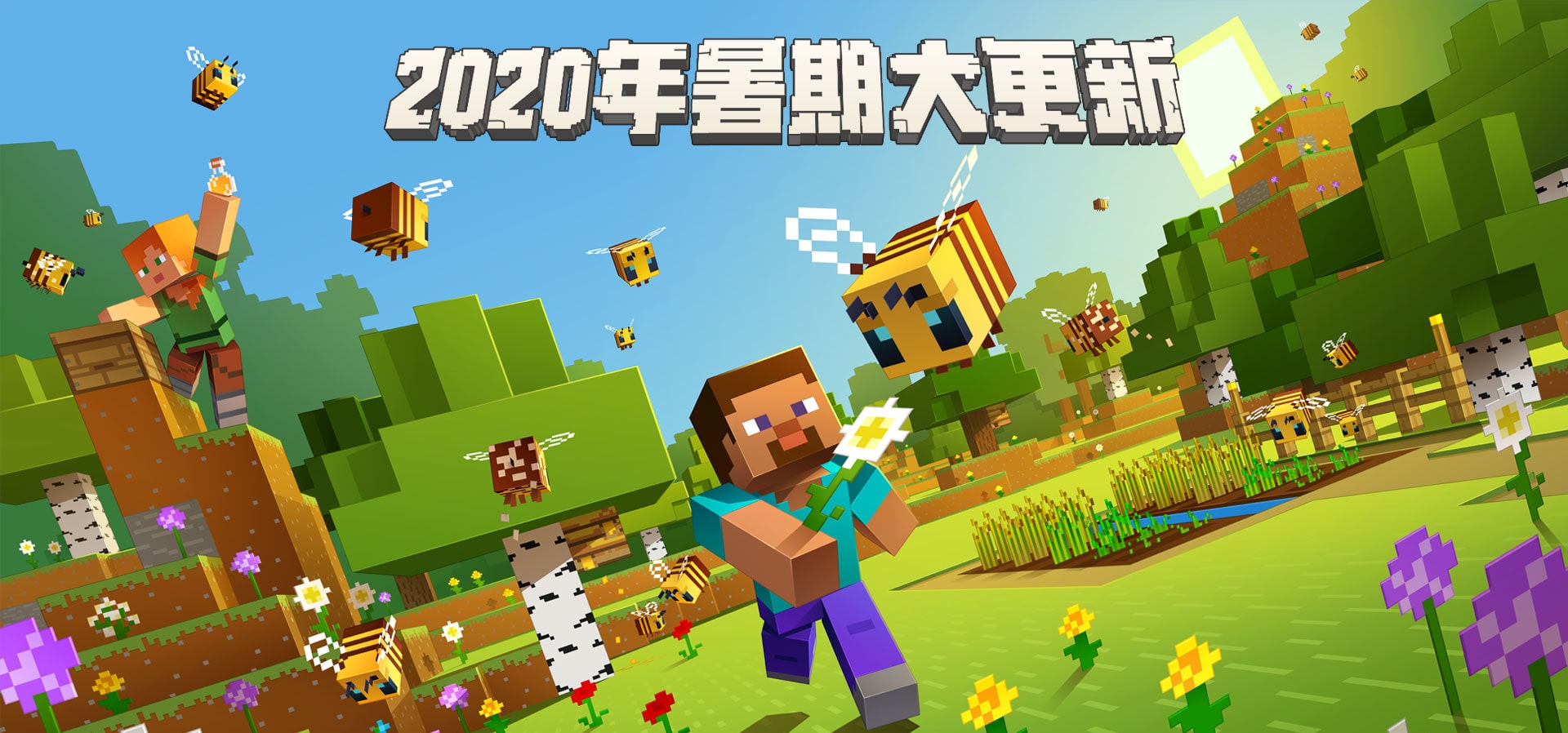 主机我的世界