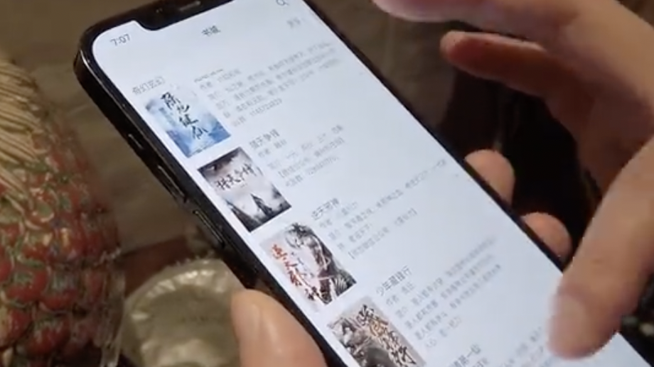 国外主机做盗版小说