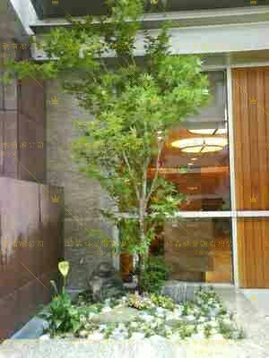 公司安装电话主机麻烦吗