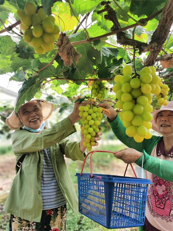 公司安装电话主机麻烦吗