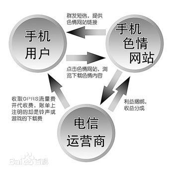可以放黄网的主机