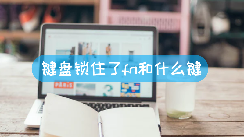 诺蒂菲尔主机键盘锁