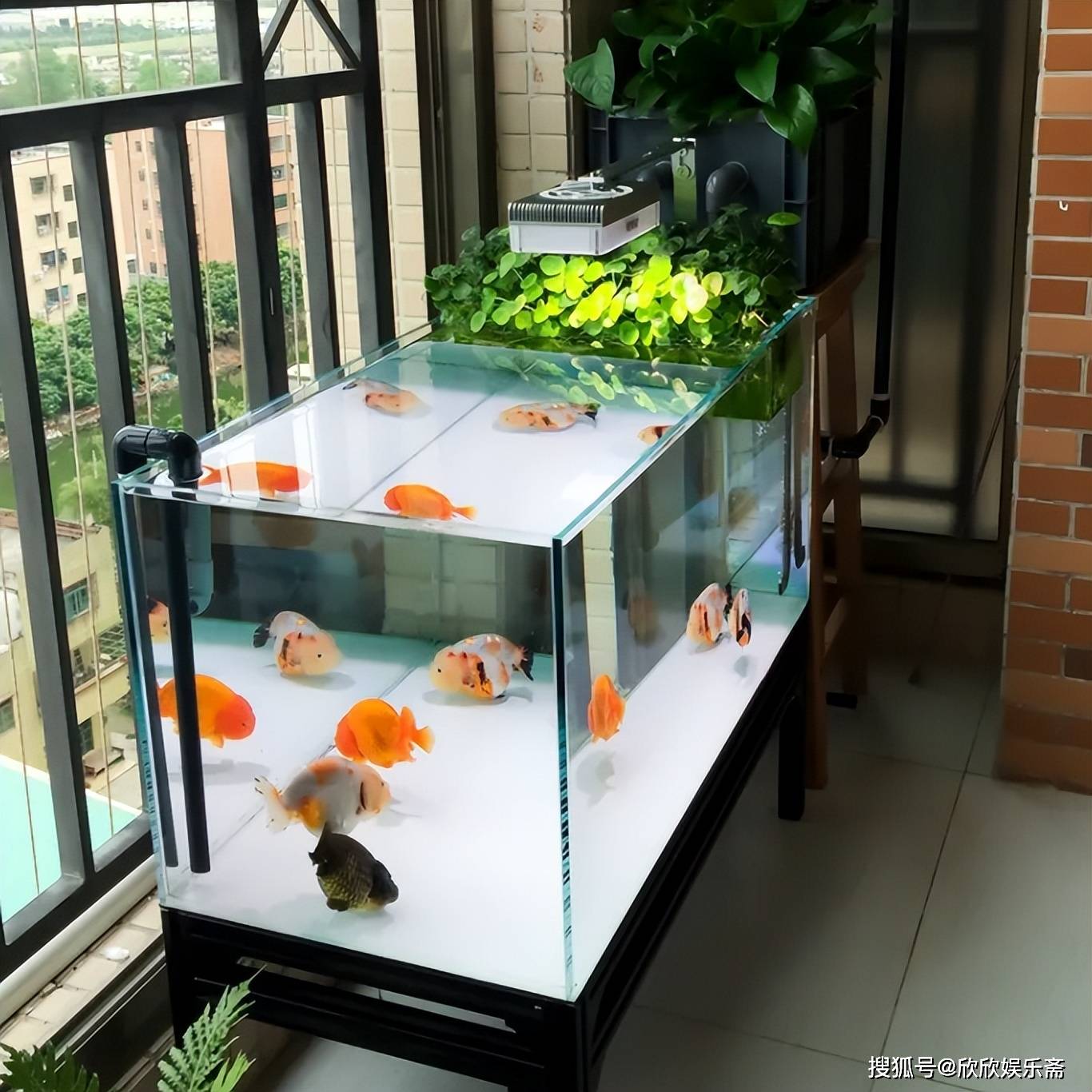 鱼缸显示屏主机坏了