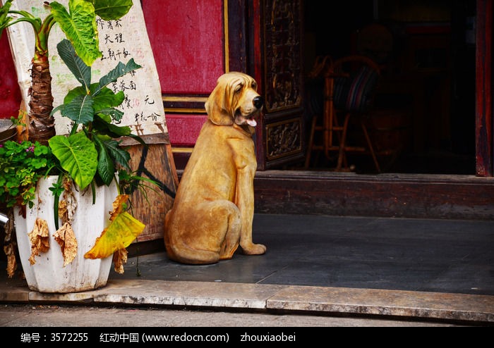 看门狗骇进主机缺口