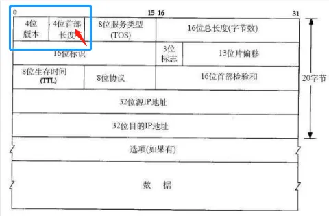 虚拟机与本地主机字节序