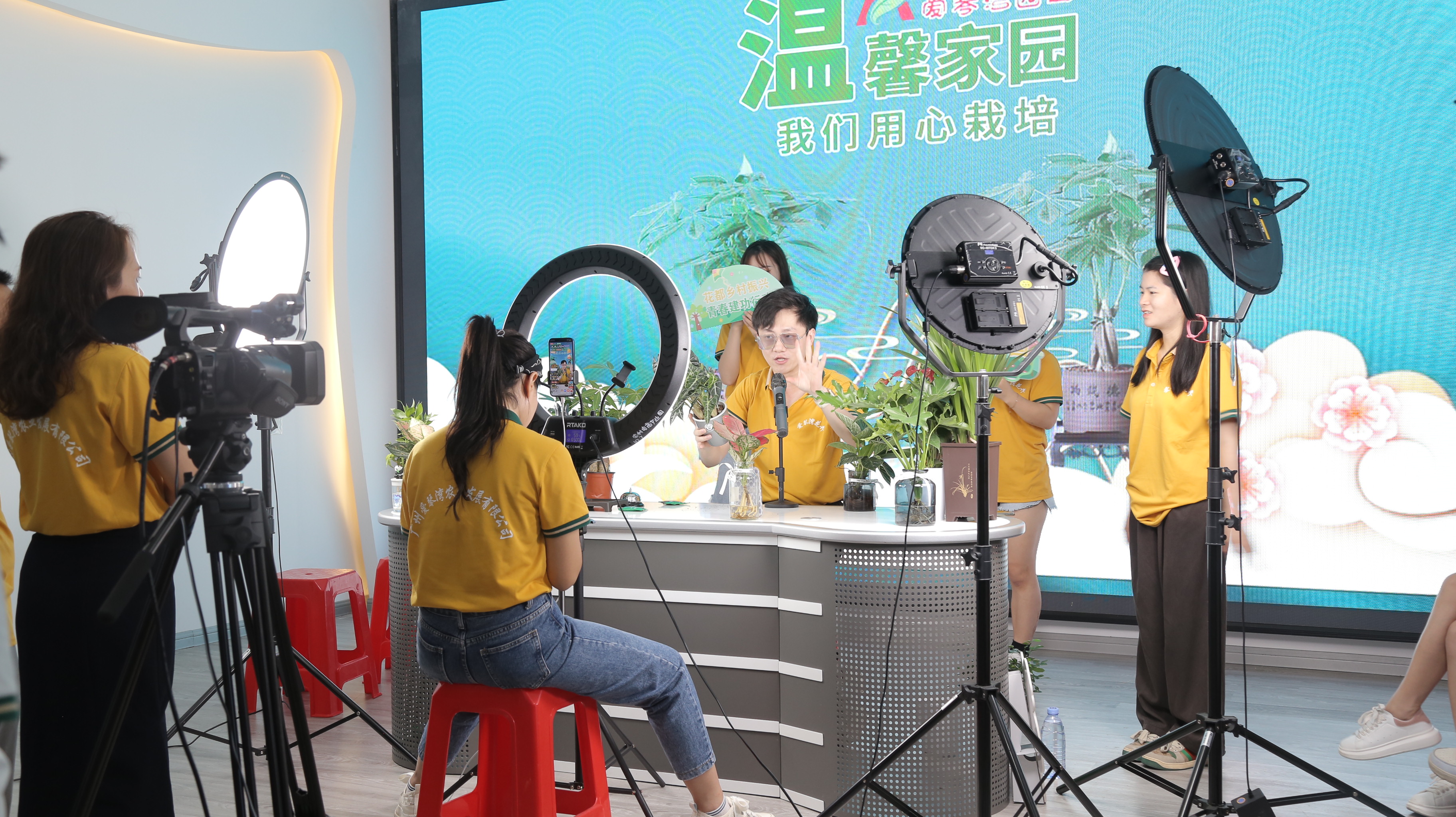 视频解码主机作用