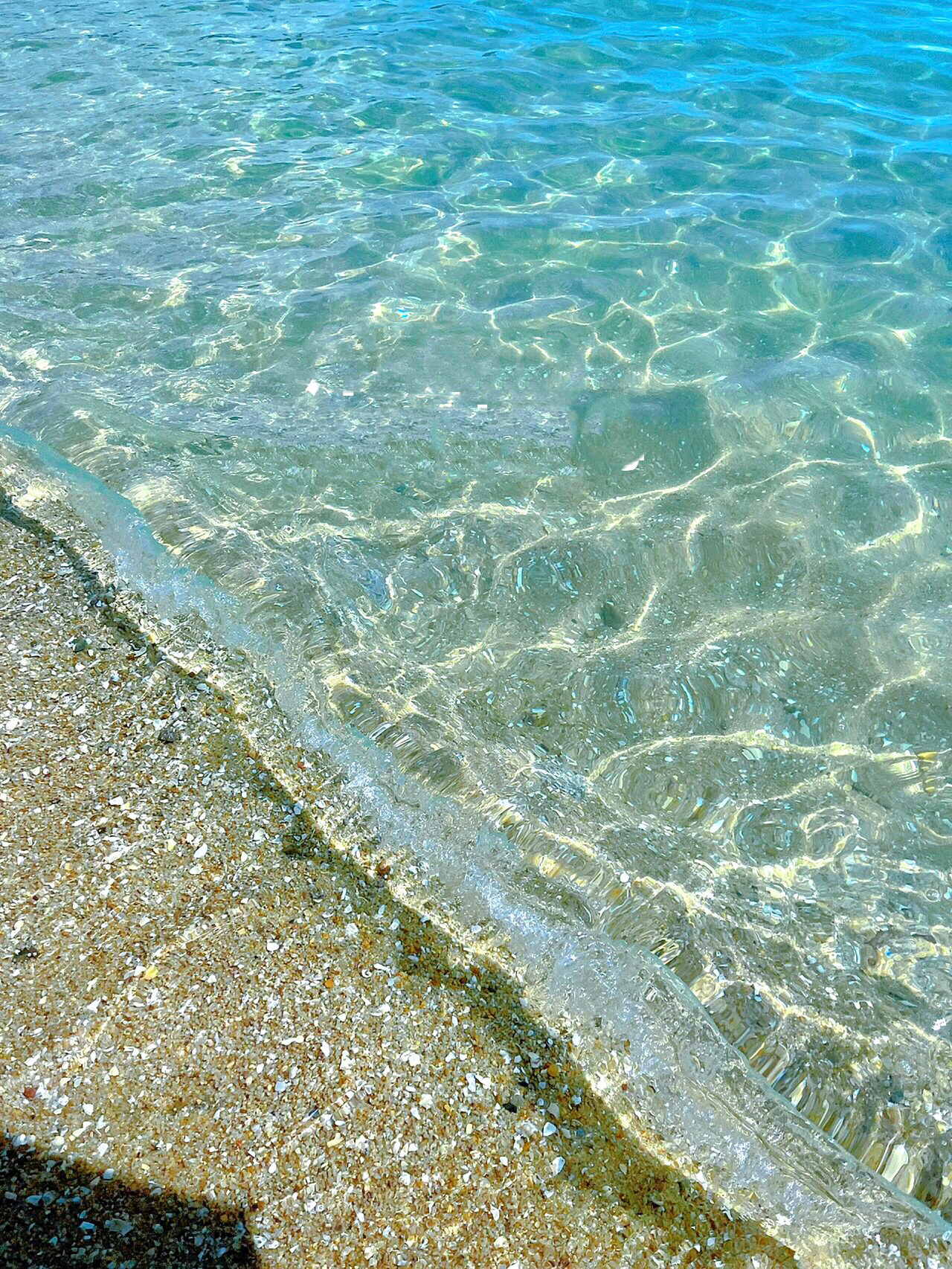 海第主机