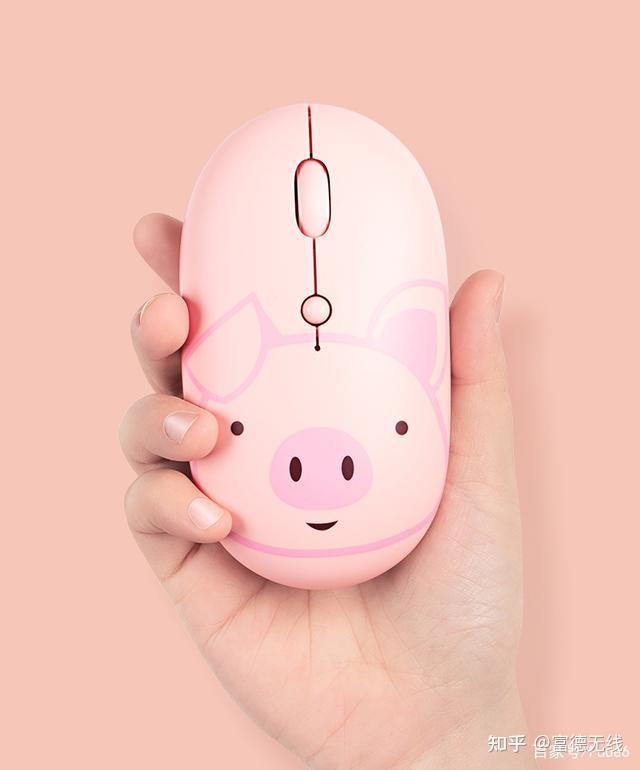 鼠标连接主机灯不亮