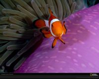 可视主机的摄像头