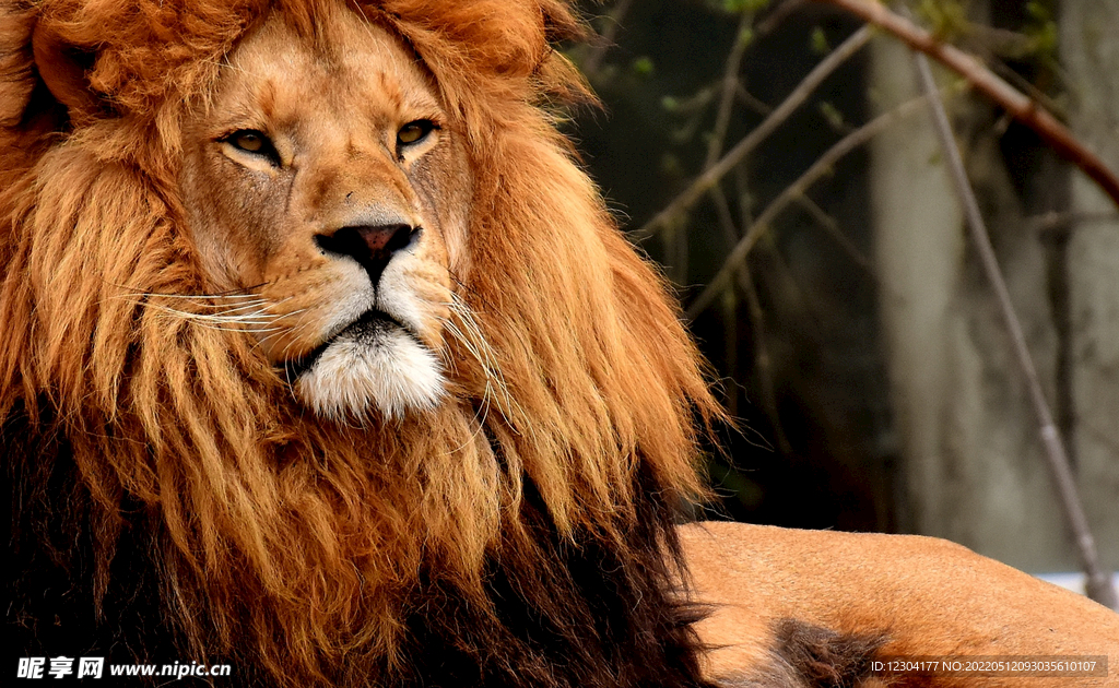 狮安监控主机灯不亮