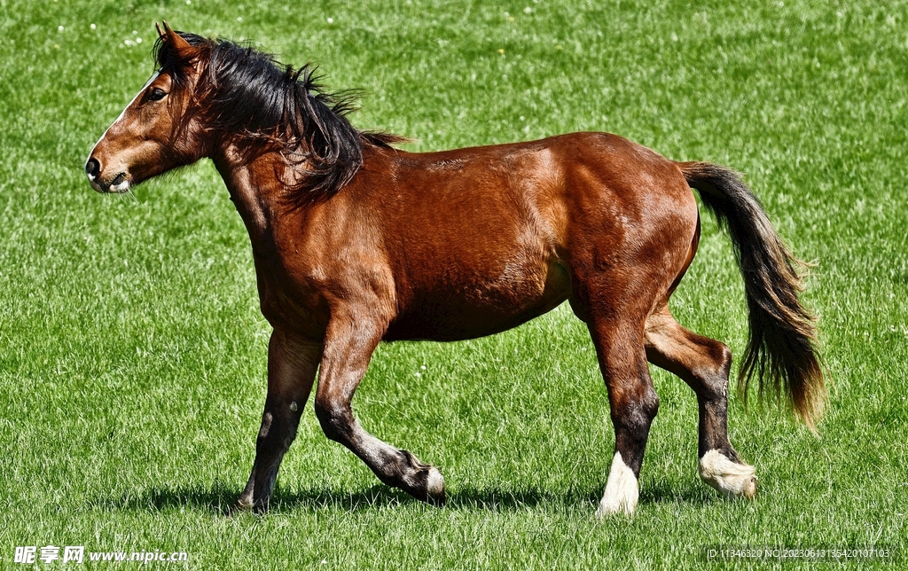 马仗机主机不转什么原因