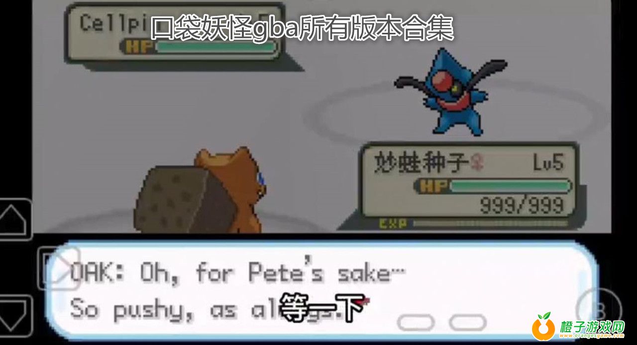 口袋妖怪颠倒主机