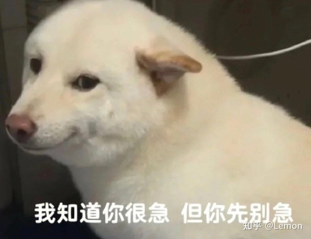 别急主机吧教你找回
