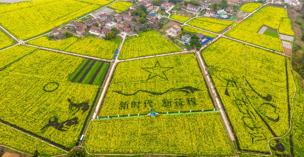 安岳卖主机的地方