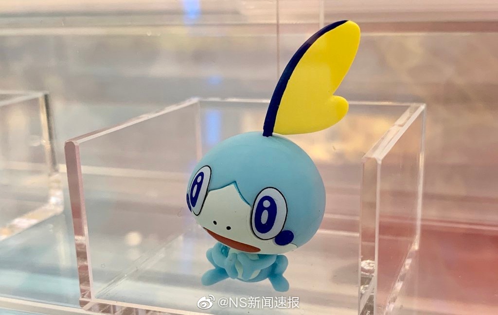 宝可梦剑盾限定版主机简介