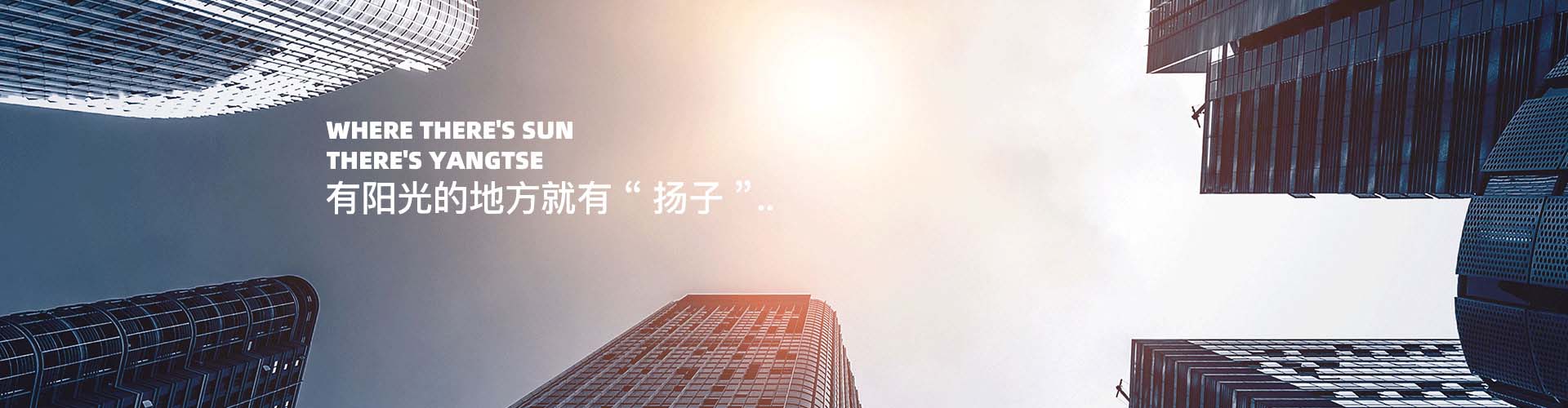 扬子智能微主机下载